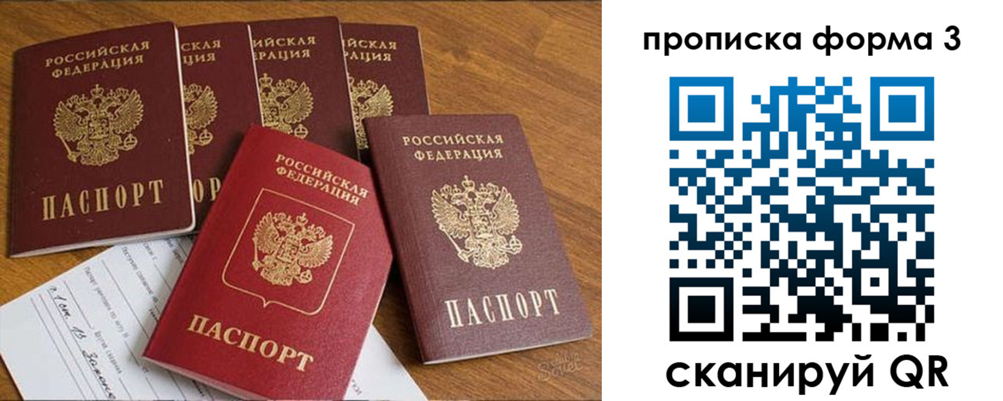 прописка 2025 в Вольске